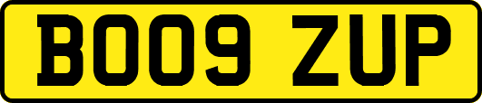 BO09ZUP