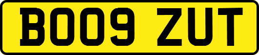 BO09ZUT