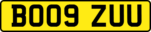 BO09ZUU