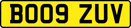 BO09ZUV