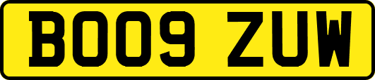 BO09ZUW