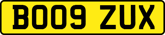 BO09ZUX