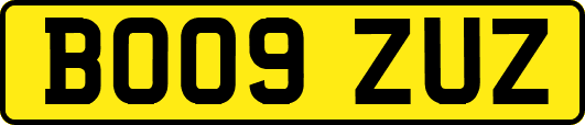 BO09ZUZ