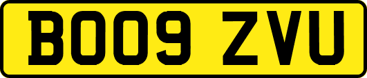 BO09ZVU