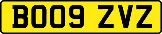 BO09ZVZ