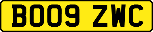 BO09ZWC