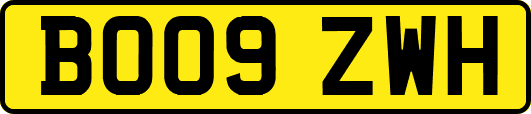 BO09ZWH