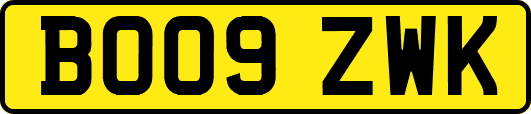 BO09ZWK