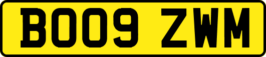 BO09ZWM