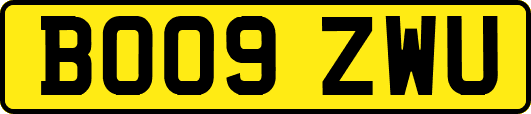 BO09ZWU