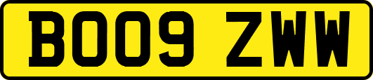 BO09ZWW