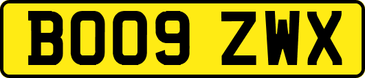 BO09ZWX