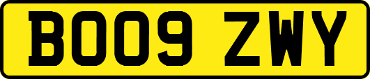BO09ZWY