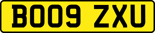 BO09ZXU