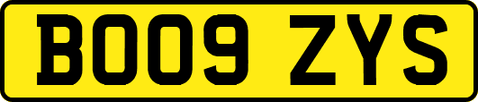 BO09ZYS