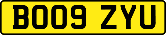 BO09ZYU