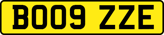 BO09ZZE
