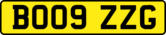 BO09ZZG