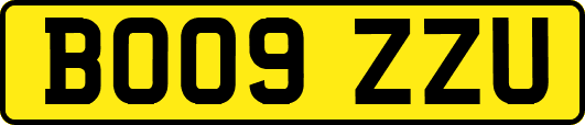 BO09ZZU