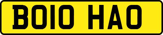 BO10HAO