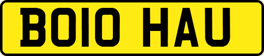 BO10HAU