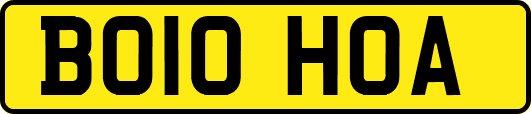 BO10HOA