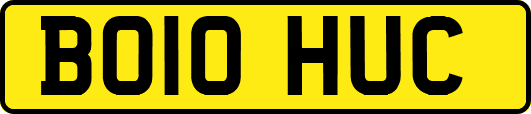 BO10HUC