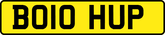 BO10HUP