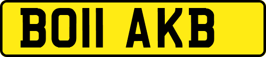 BO11AKB