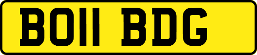 BO11BDG