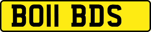 BO11BDS