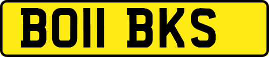 BO11BKS