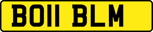 BO11BLM