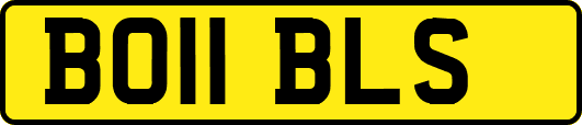 BO11BLS