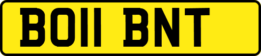 BO11BNT
