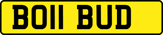 BO11BUD