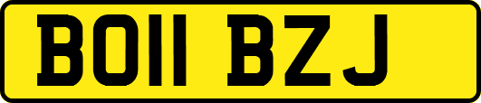 BO11BZJ
