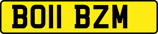 BO11BZM