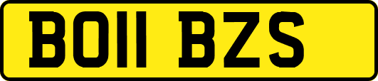 BO11BZS