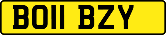 BO11BZY