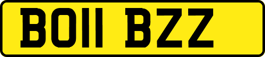 BO11BZZ