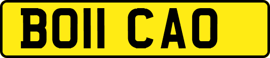 BO11CAO