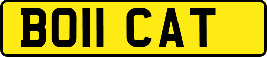 BO11CAT
