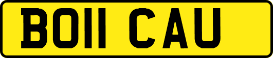BO11CAU
