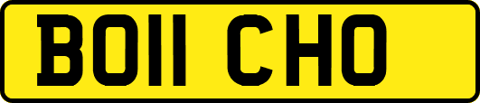 BO11CHO