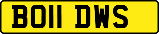 BO11DWS