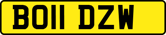 BO11DZW
