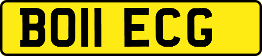 BO11ECG