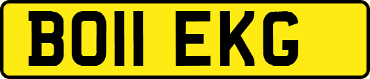 BO11EKG