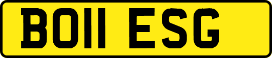 BO11ESG